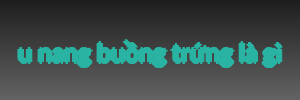 u nang buồng trứng là gì